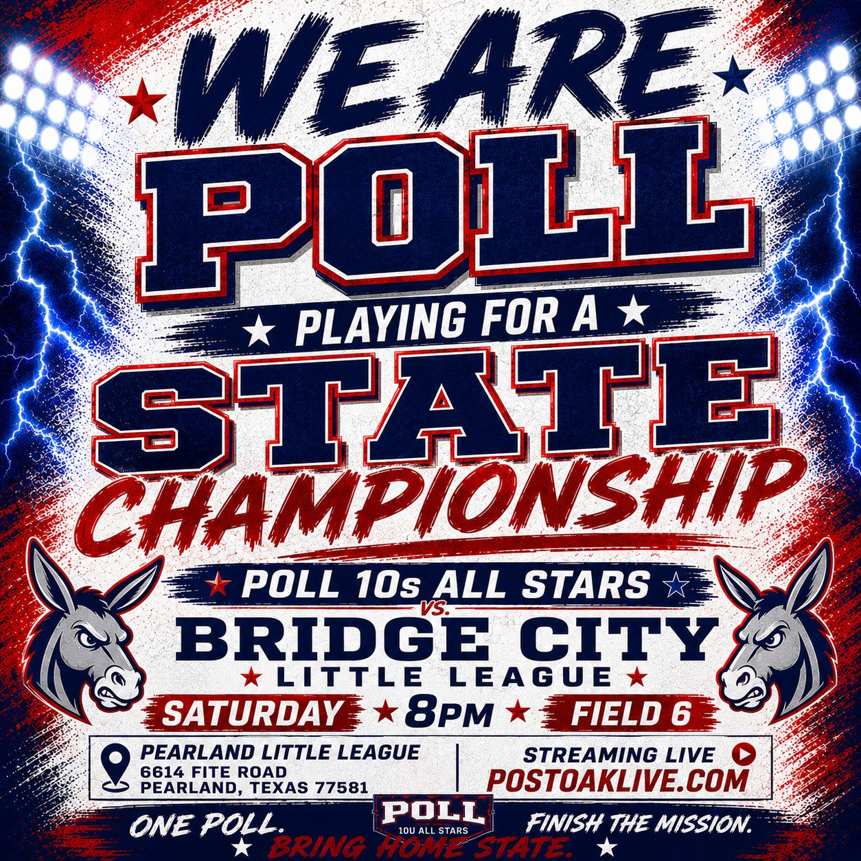 Post Oak 10s All Stars state championship graphic